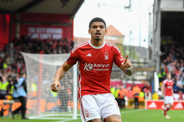 将是他未来 将是他未来